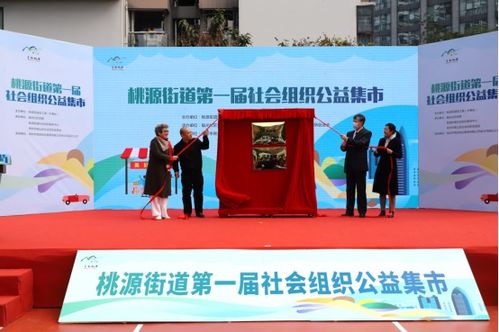 桃源街道首屆社會組織公益集市 文化藝術(shù)交流點(diǎn)亮社區(qū)活力